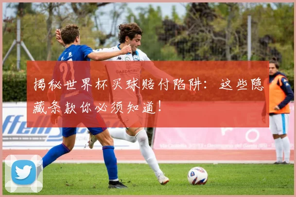 揭秘世界杯买球赔付陷阱：这些隐藏条款你必须知道！