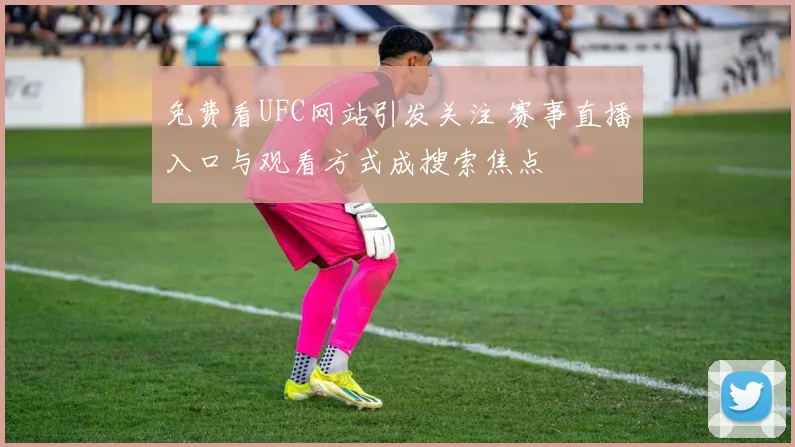免费看UFC网站引发关注 赛事直播入口与观看方式成搜索焦点