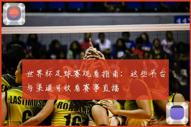 世界杯足球赛观看指南：这些平台与渠道可收看赛事直播