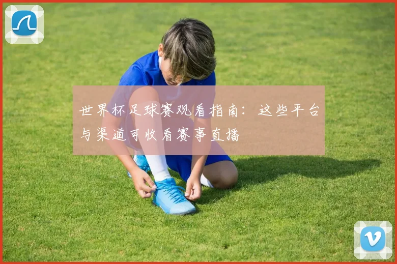 世界杯足球赛观看指南：这些平台与渠道可收看赛事直播