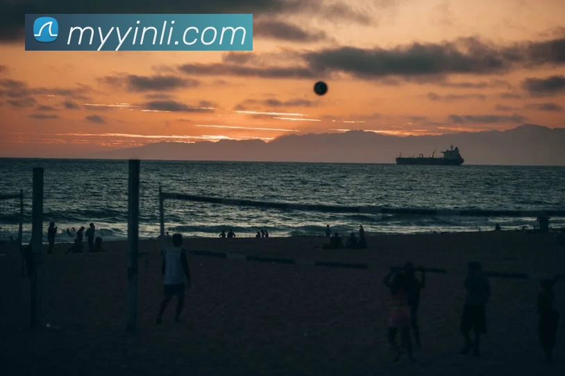 开云在线登录入口官网平台生态图