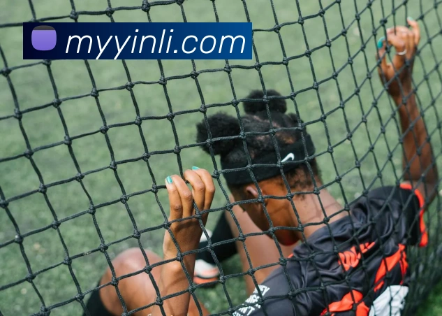 开云在线登录入口官网APP 封面图